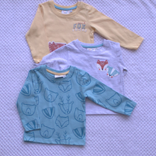Load image into Gallery viewer, 3 pack longsleeved tops
