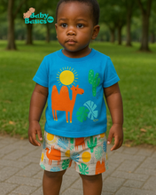 Load image into Gallery viewer, Boys Short Sets - Various