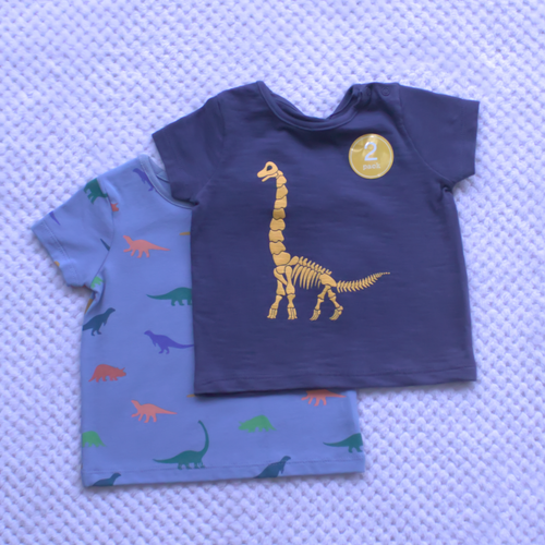 2 Pack Dinosaur T-shirts 0-3m Only - Sale