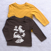 Load image into Gallery viewer, 2 Pack Long-sleeved Boys Tops - Various