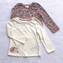 Load image into Gallery viewer, Girls 2 Pack Longsleeved Tops - Various