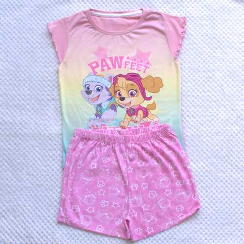Paw Patrol Pawfect Team Set 5-6yrs Only