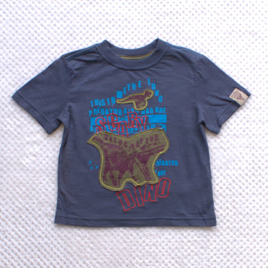 Summer boys t-shirt
