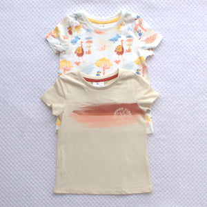 2 Pack t-shirts