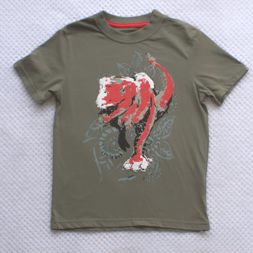 boys t-shirt