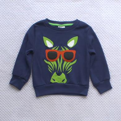 Boys Sweater