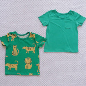 2 pack boys t-shirts